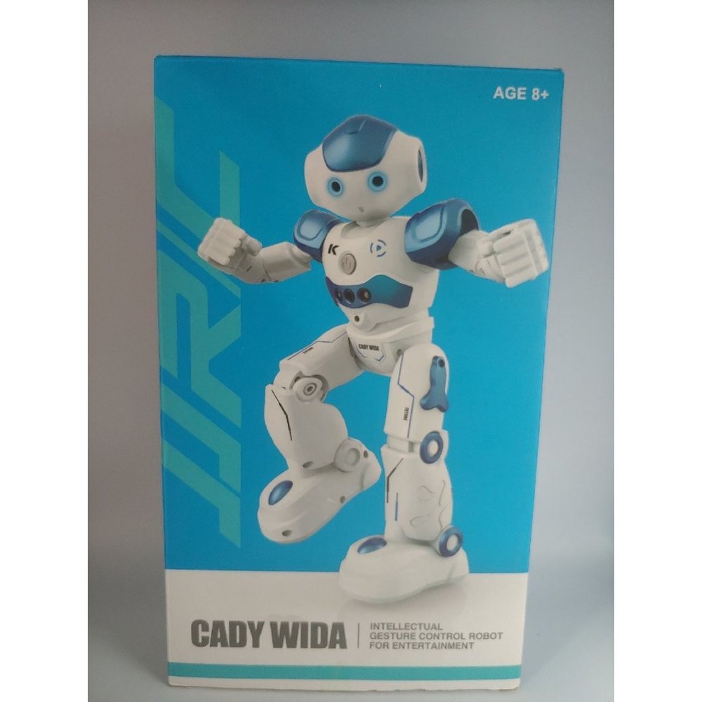 CADY WIDA Gesture Controlled Robot